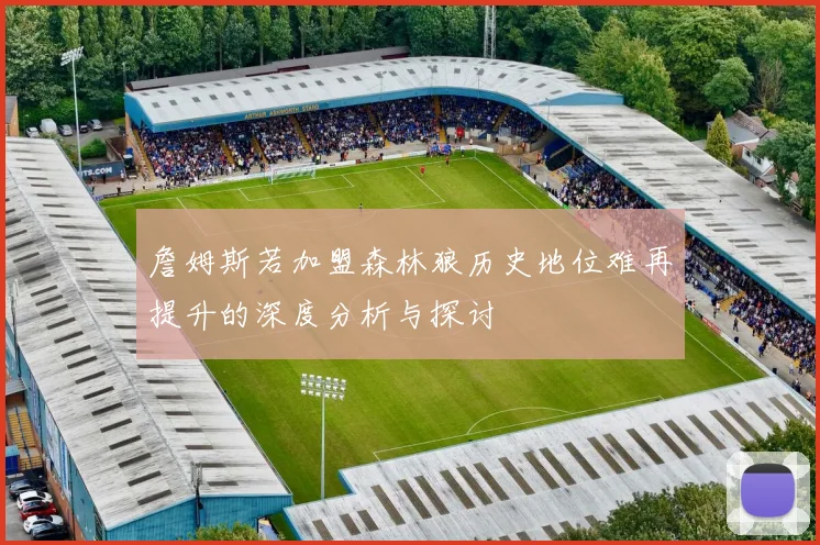 詹姆斯若加盟森林狼历史地位难再提升的深度分析与探讨